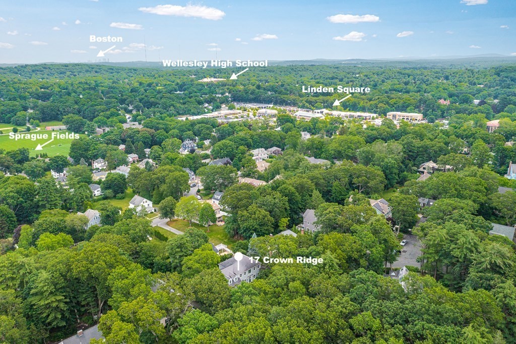 17 Crown Ridge Road Wellesley, MA 02482 - Photo 36 of 37 a view of a green field with lots of bushes