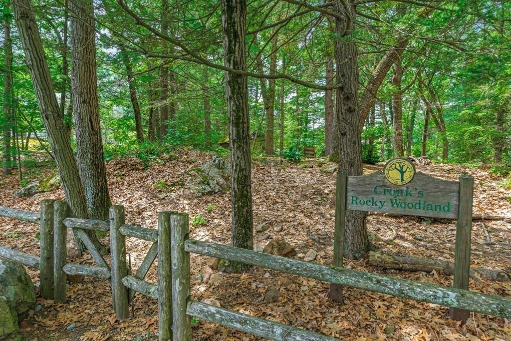 17 Crown Ridge Road Wellesley, MA 02482 - Photo 37 of 37 a view of a yard with large trees and plants