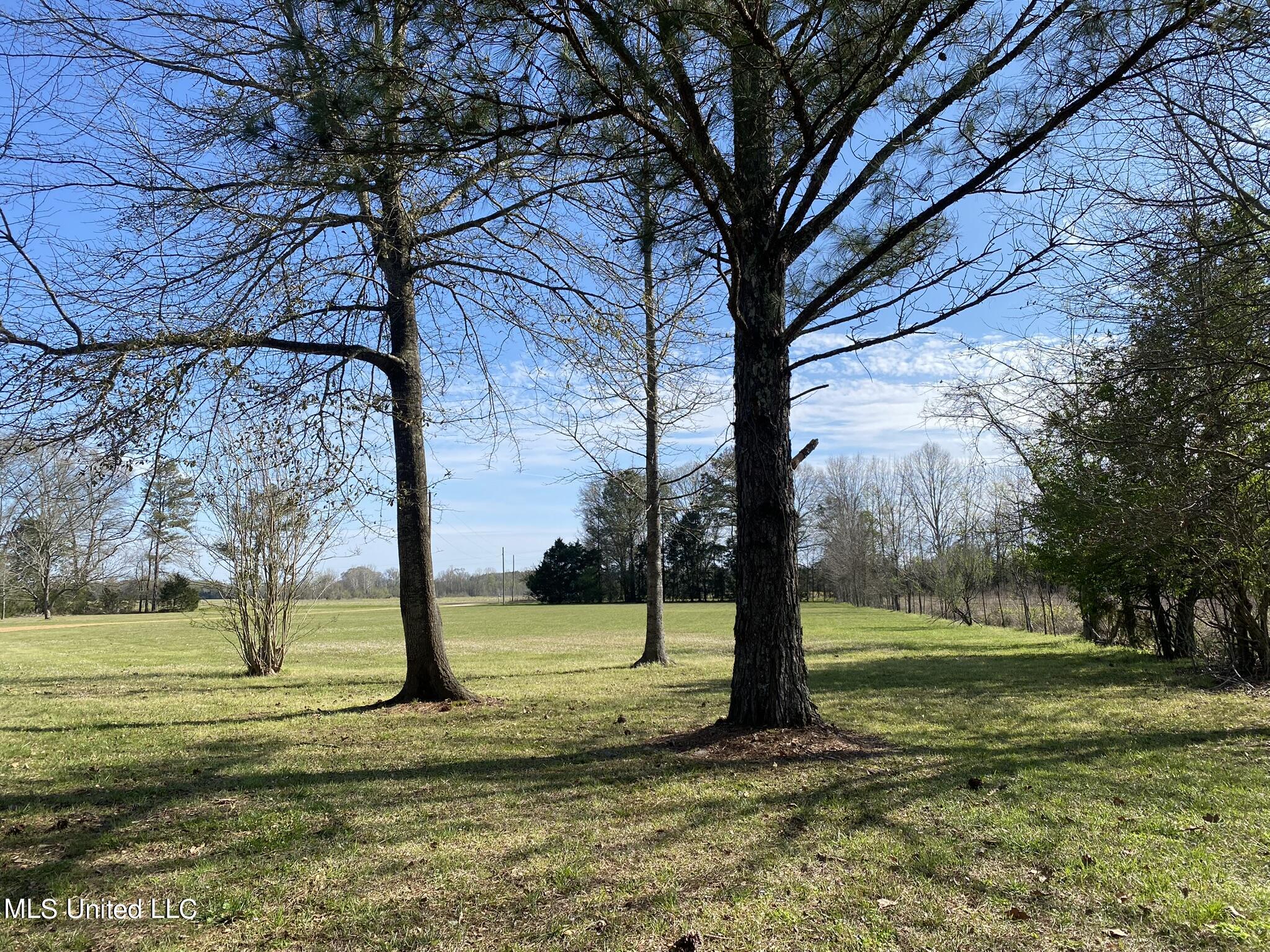 4457 Berryville Road Benton, MS 39039 - Photo 34 of 36 IMG_2714