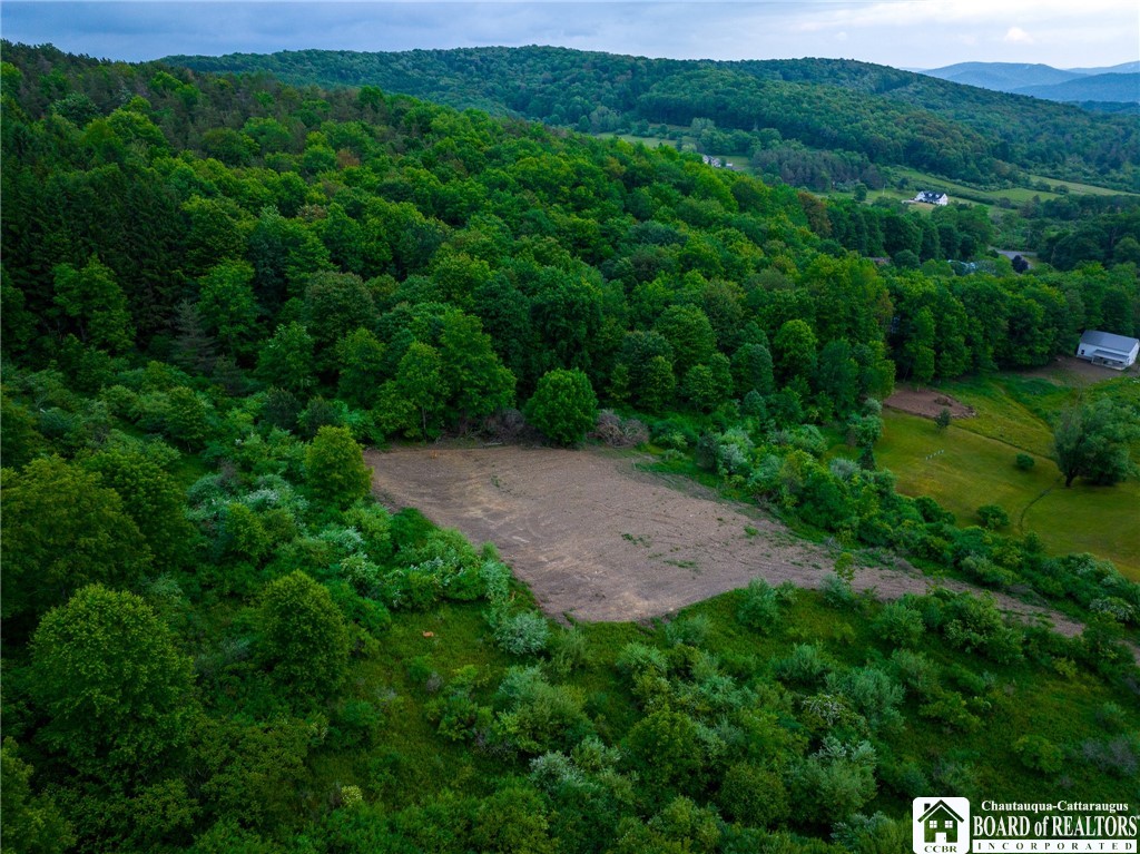 9 Red Oak Drive Olean Town, NY 14760 - Photo 5 of 11