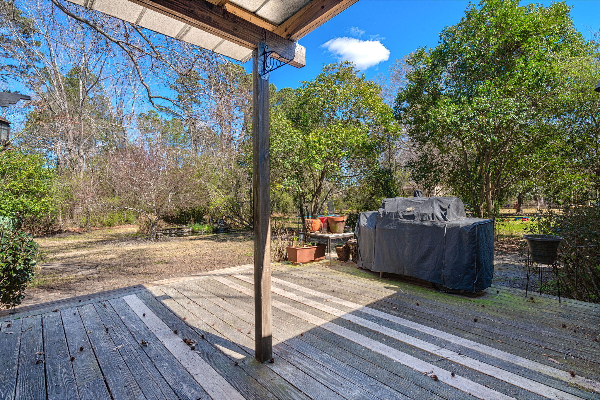 2138 Clayton Street Charleston, SC 29414 - Photo 19 of 25 Backyard