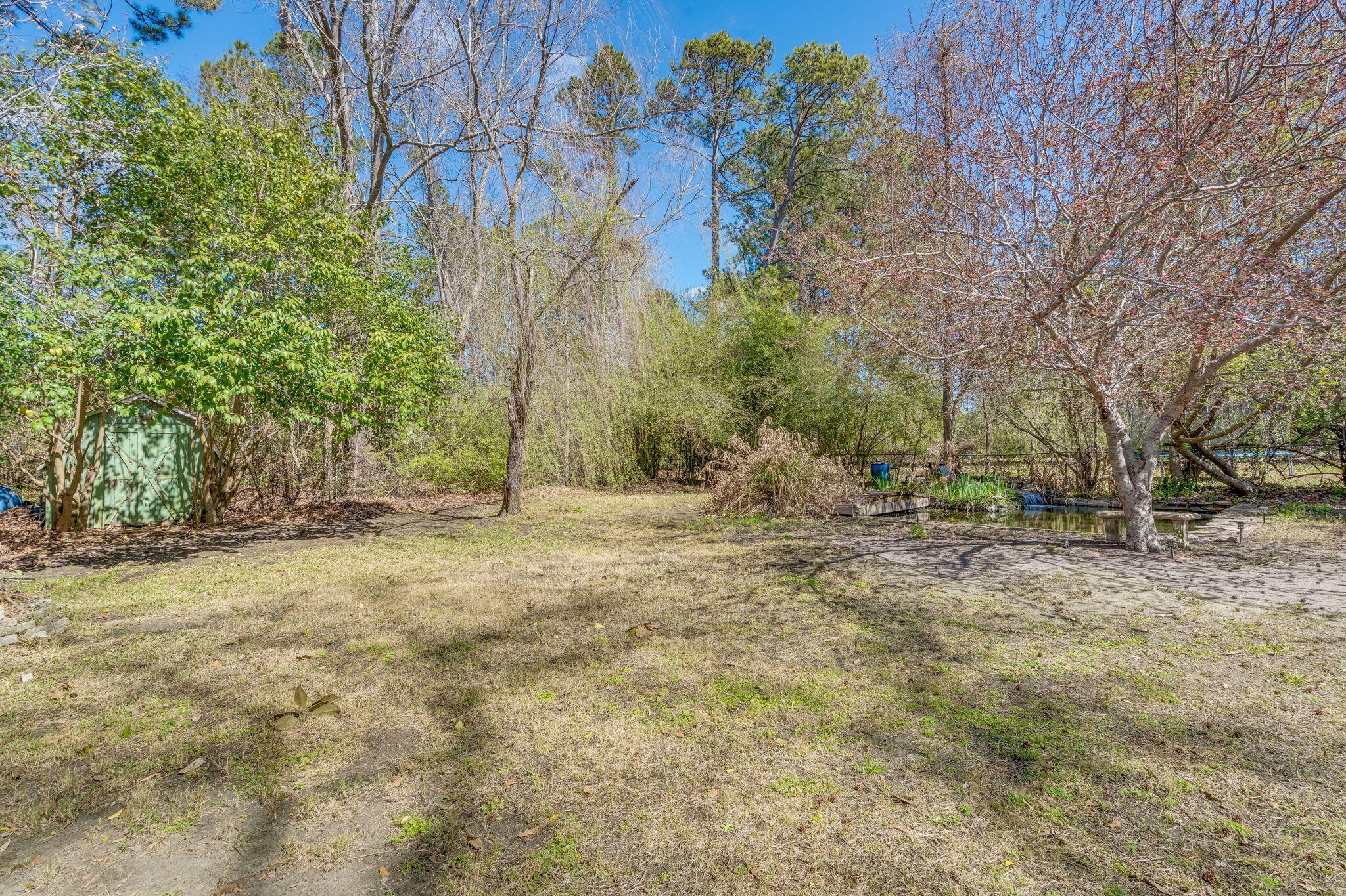 2138 Clayton Street Charleston, SC 29414 - Photo 22 of 25 Backyard