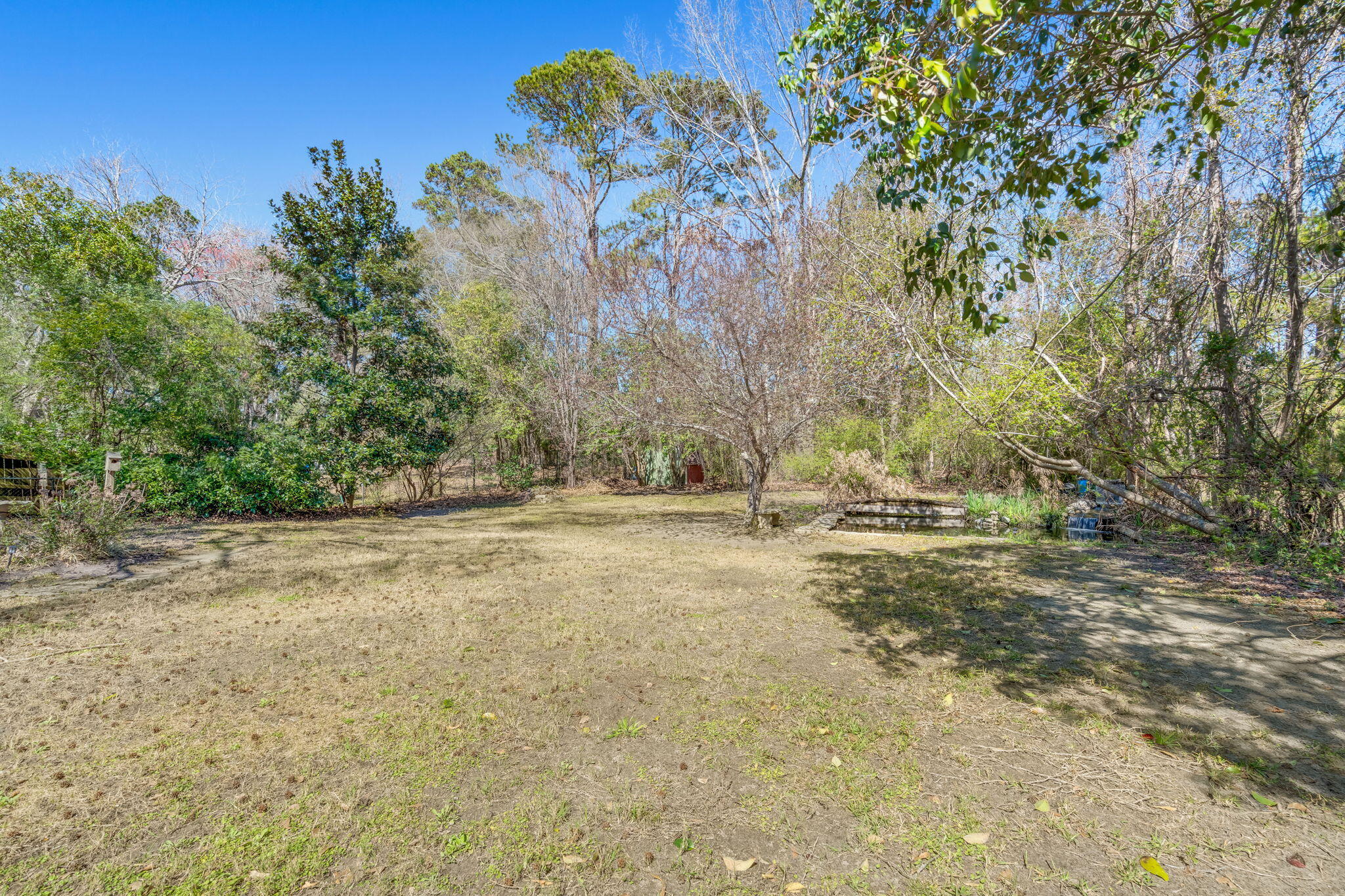 2138 Clayton Street Charleston, SC 29414 - Photo 23 of 25 Backyard