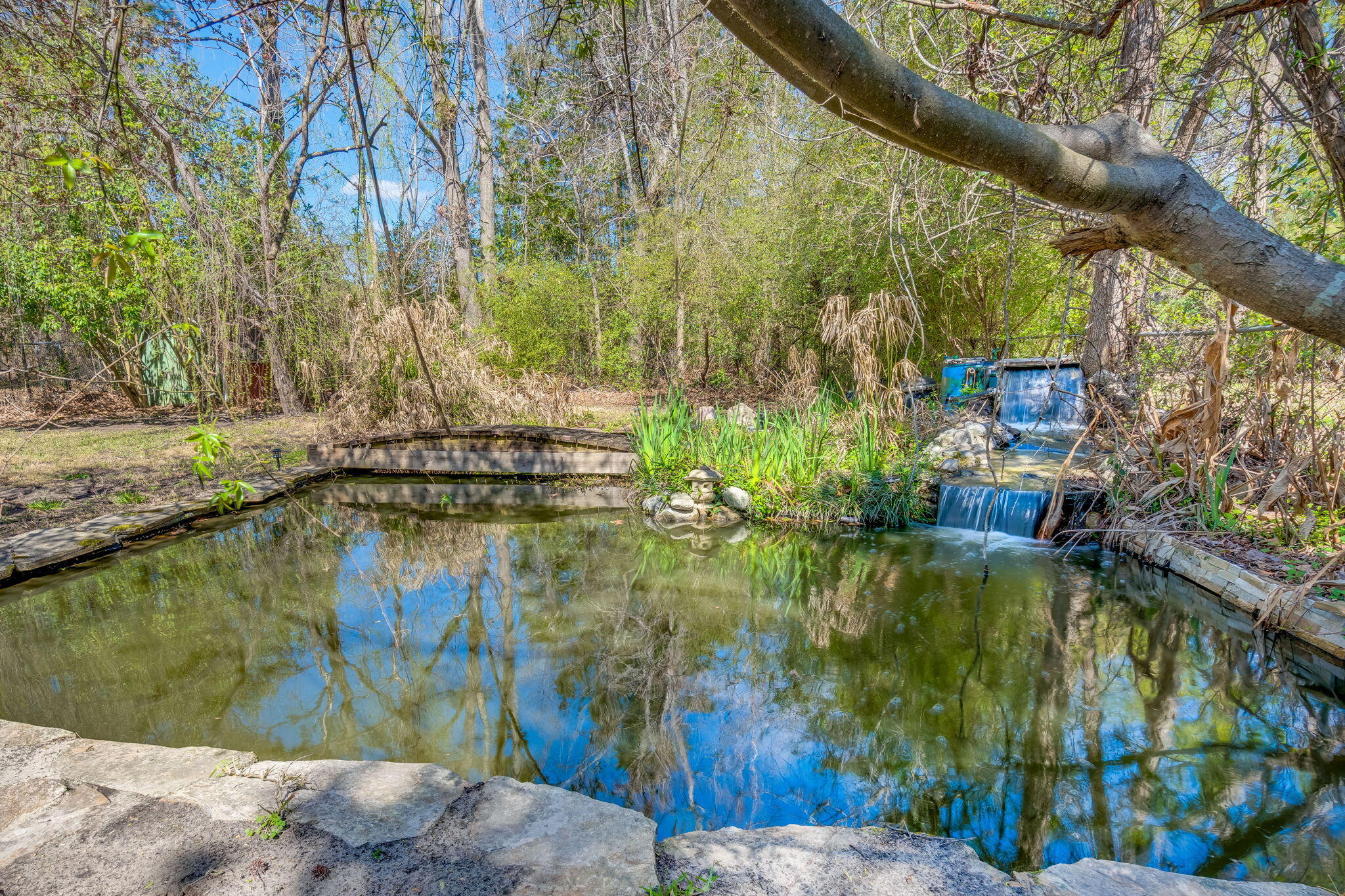 2138 Clayton Street Charleston, SC 29414 - Photo 25 of 25 Pond
