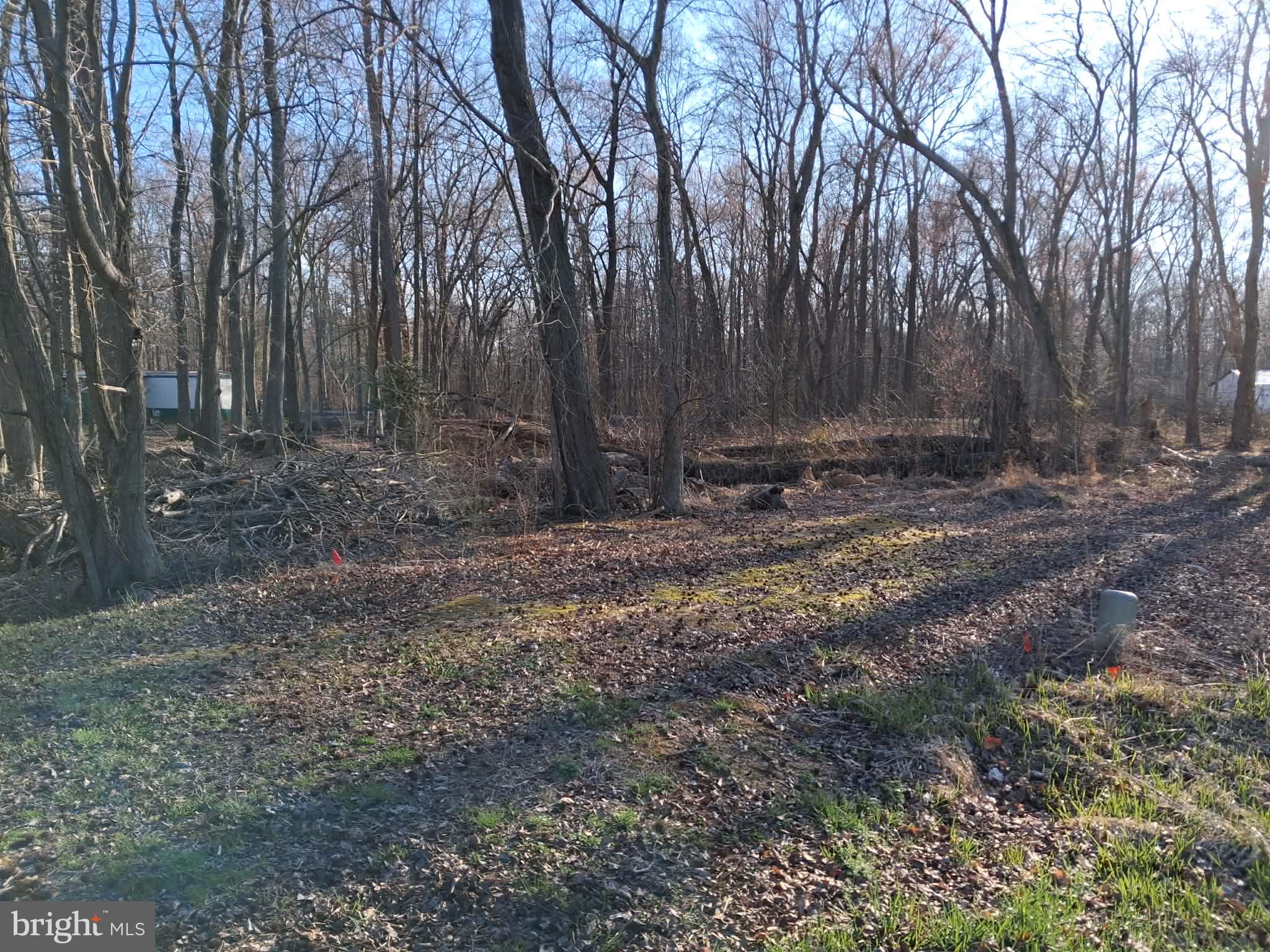 0 Misty Way Hartly, DE 19953 - Photo 5 of 7 a view of outdoor space with trees