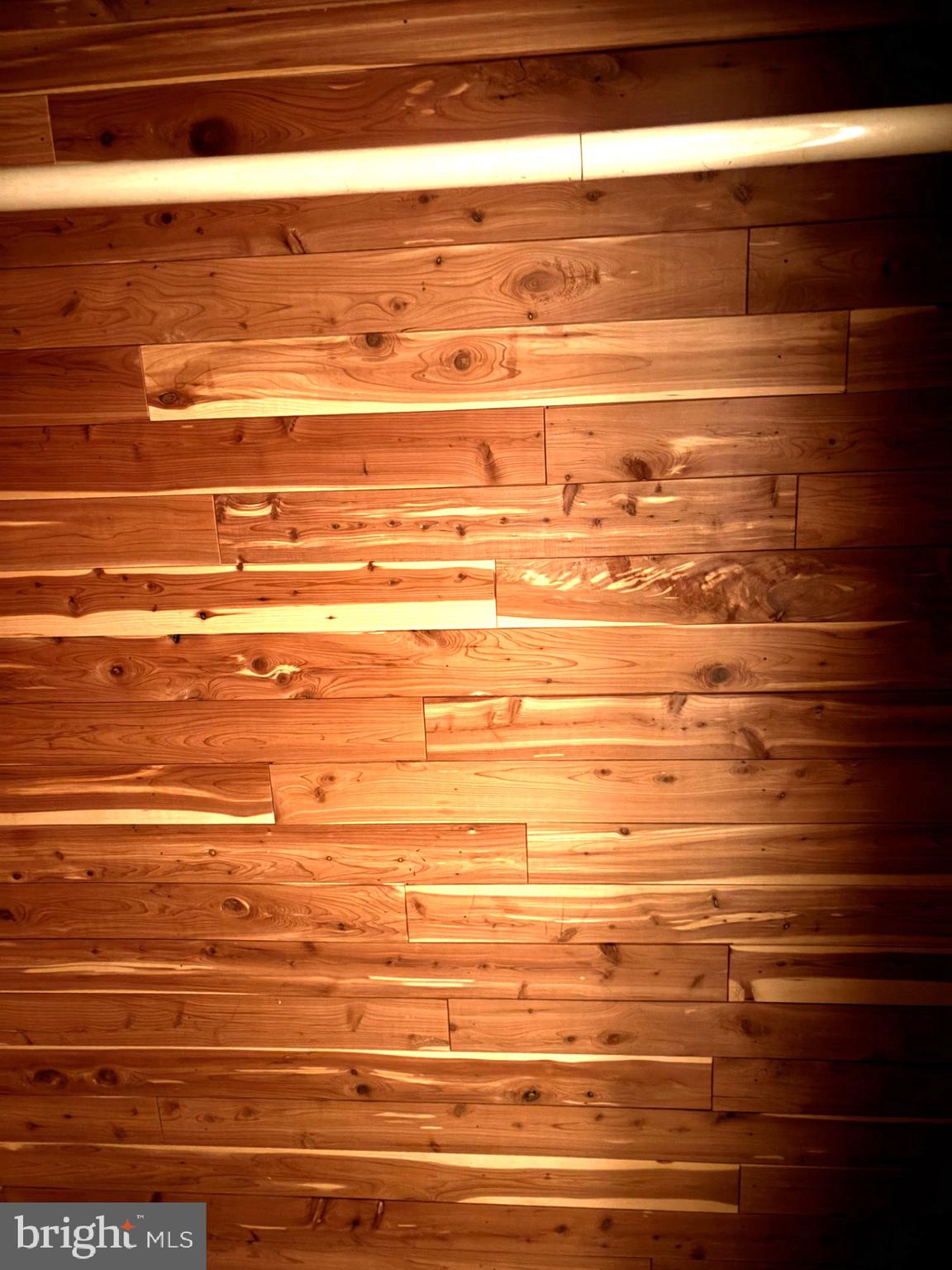 512 Dennis Avenue Silver Spring, MD 20901 - Photo 27 of 28 Cedar closet in Basement