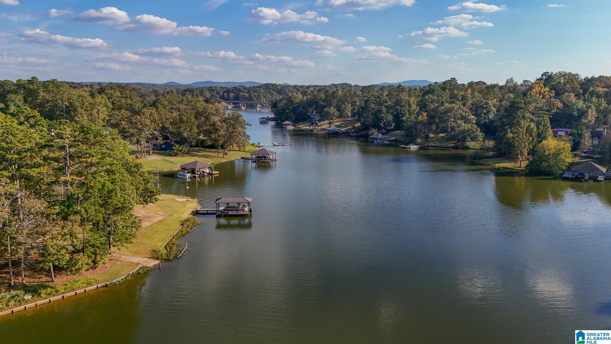 438 Traweek Lane Pell City, AL 35128 - Photo 35 of 49