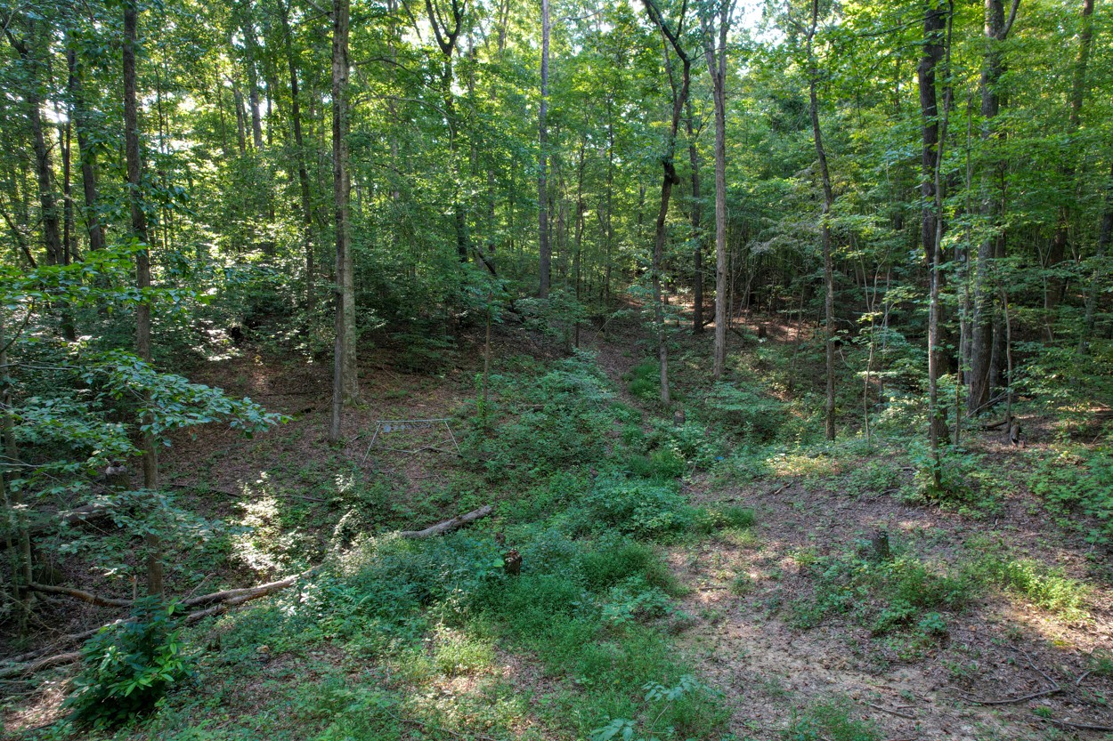 65 Sheltontown Road Manchester, TN 37355 - Photo 44 of 46 a view of forest