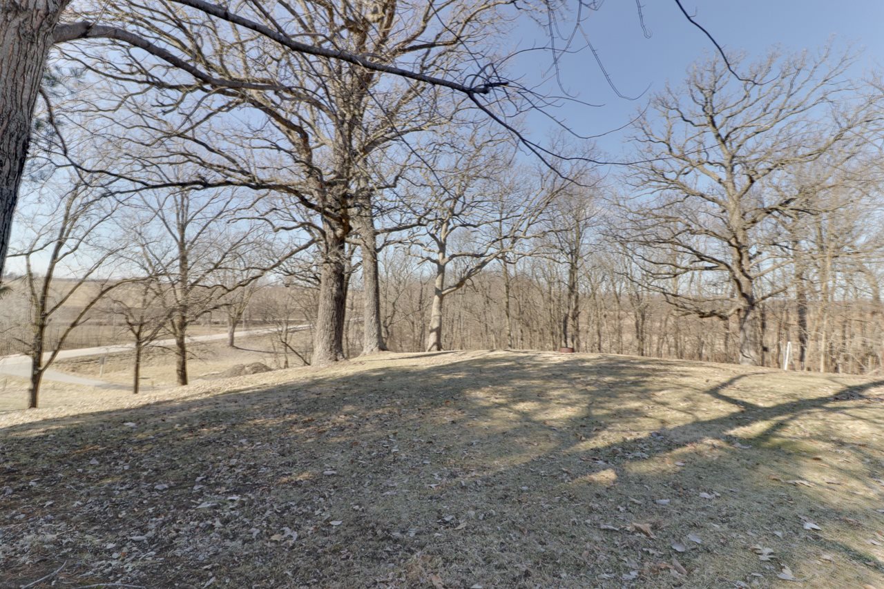 1103 Dale Road Armington, IL 61721 - Photo 4 of 45