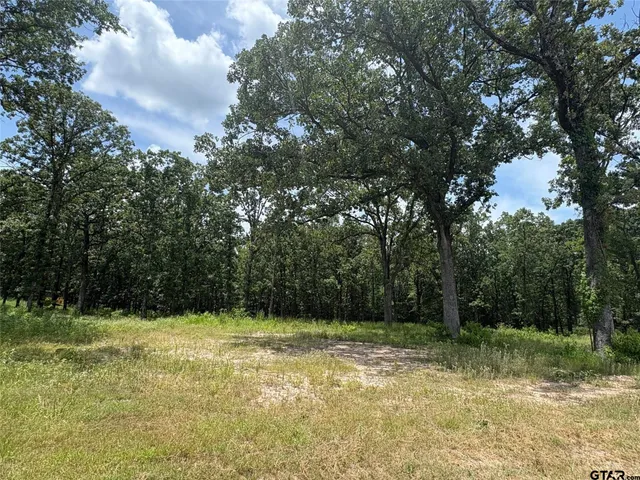 a view of backyard with green space