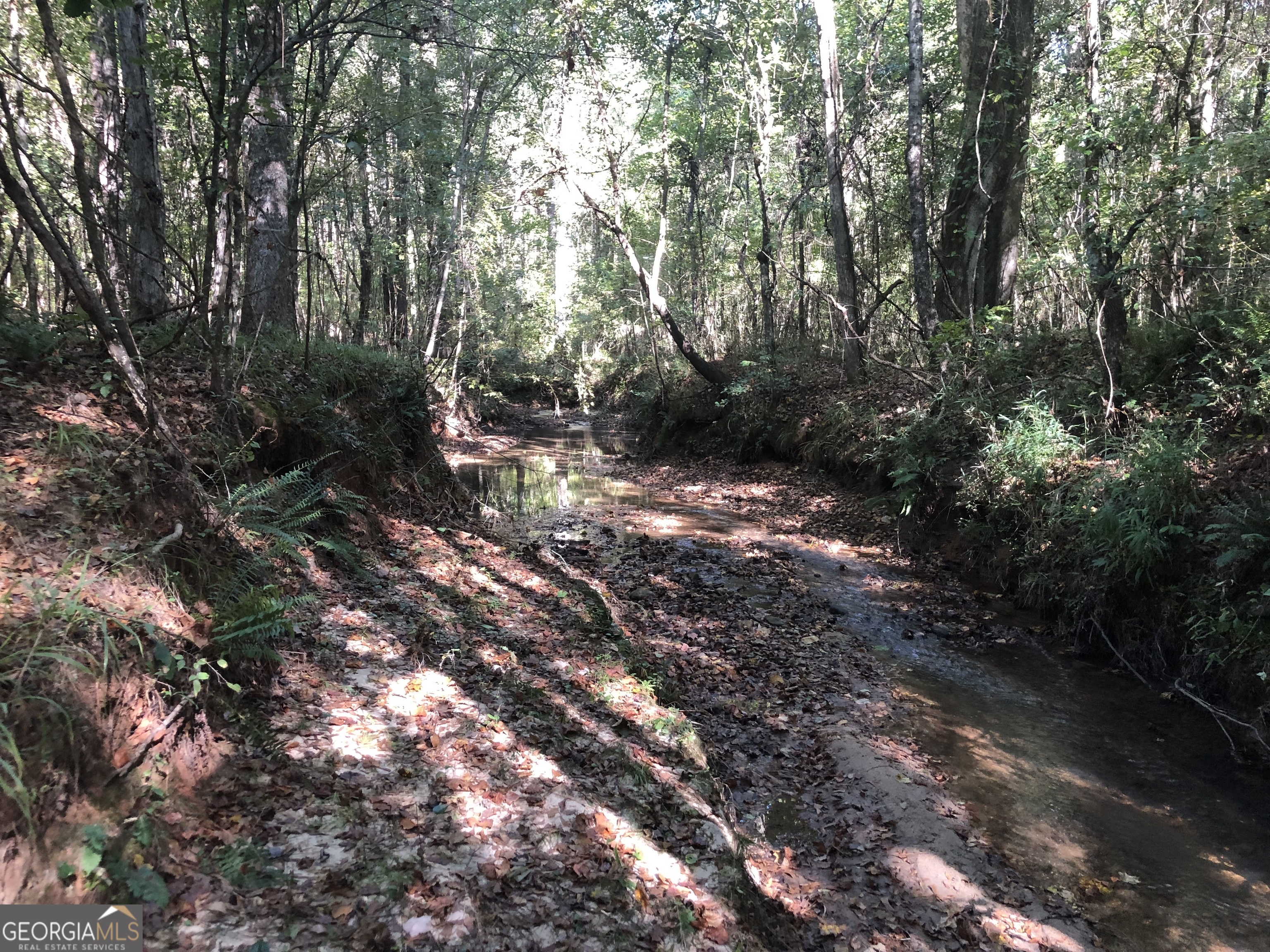 Lot 10 Triune Mill Road Thomaston, GA 30286 - Photo 24 of 30