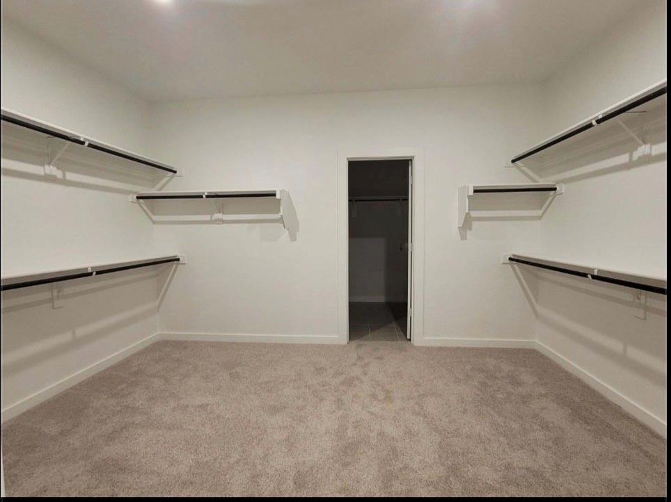 785 Vineyard Way Forney, TX 75126 - Photo 5 of 12 Spacious walk-in closet featuring light-colored carpeting, white walls, and built-in shelving with hanging rods
