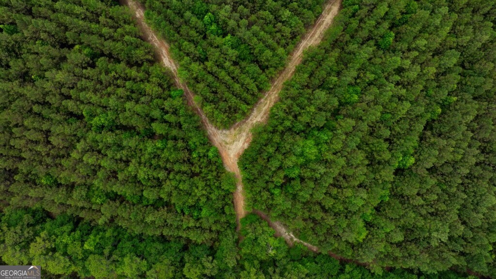 0 Highway 204 & Carlos Cowart Road Pembroke, GA 31321 - Photo 23 of 47