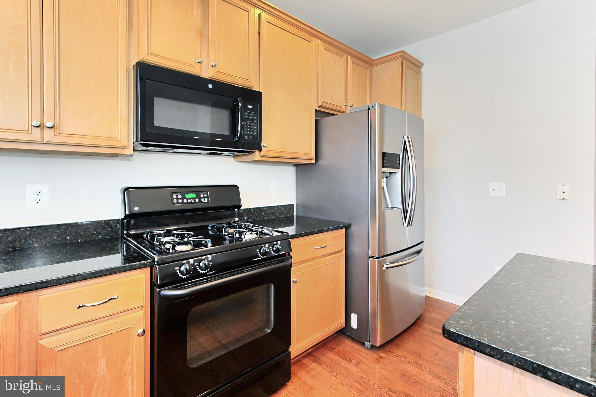 20384 Bass Rocks Terrace Ashburn, VA 20147 - Photo 15 of 44 Recessed lighting
