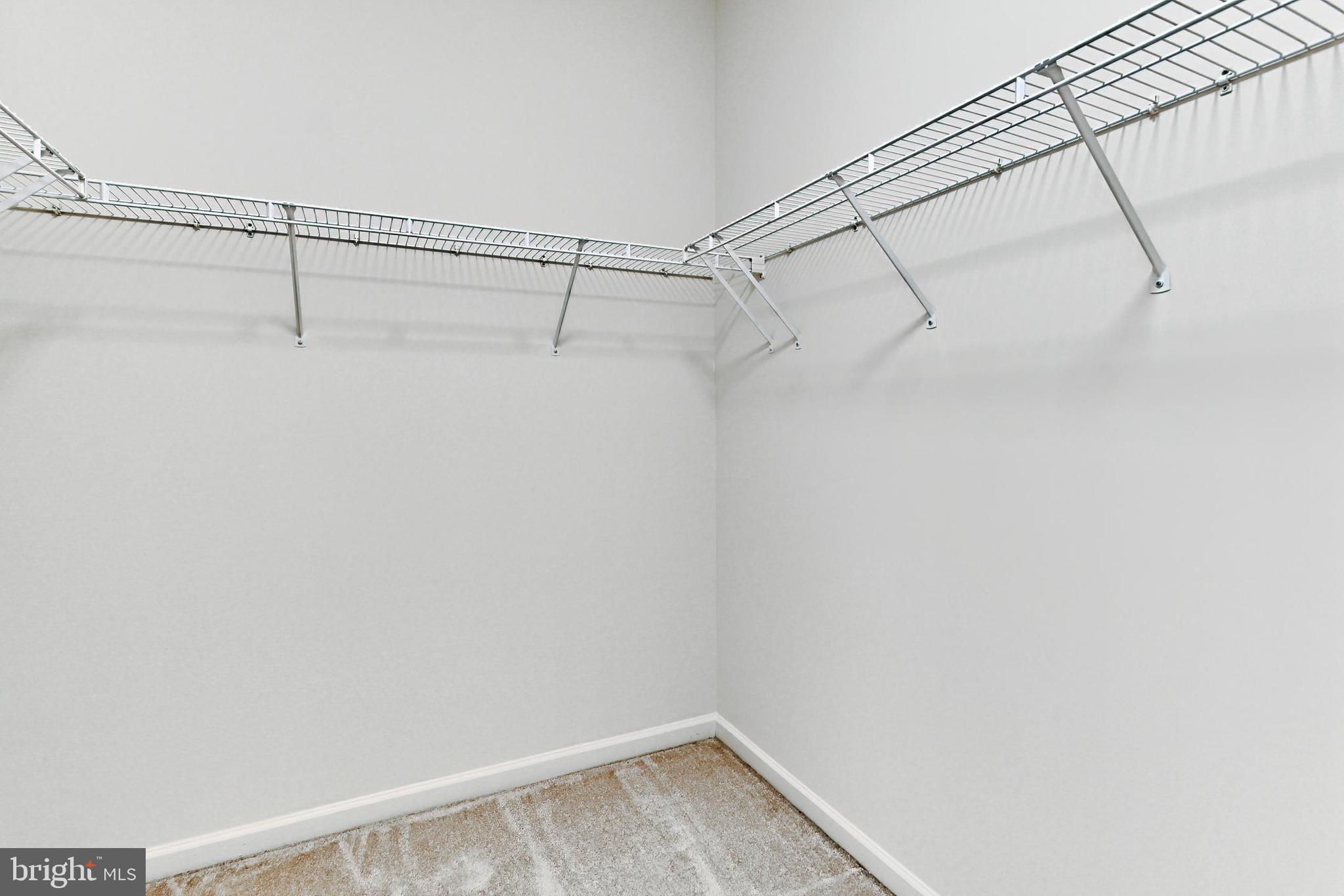 20384 Bass Rocks Terrace Ashburn, VA 20147 - Photo 28 of 44 Large WI Closet