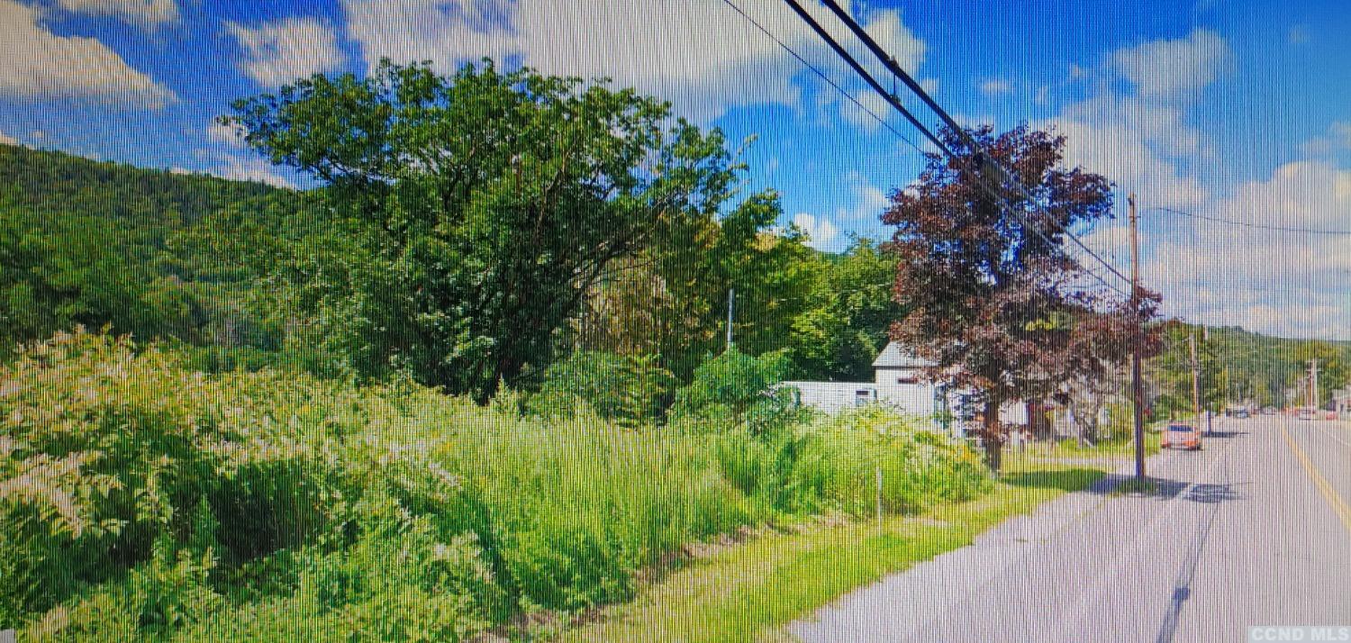 14461 Main Street Prattsville, NY 12468 - Photo 1 of 6 a view of a garden