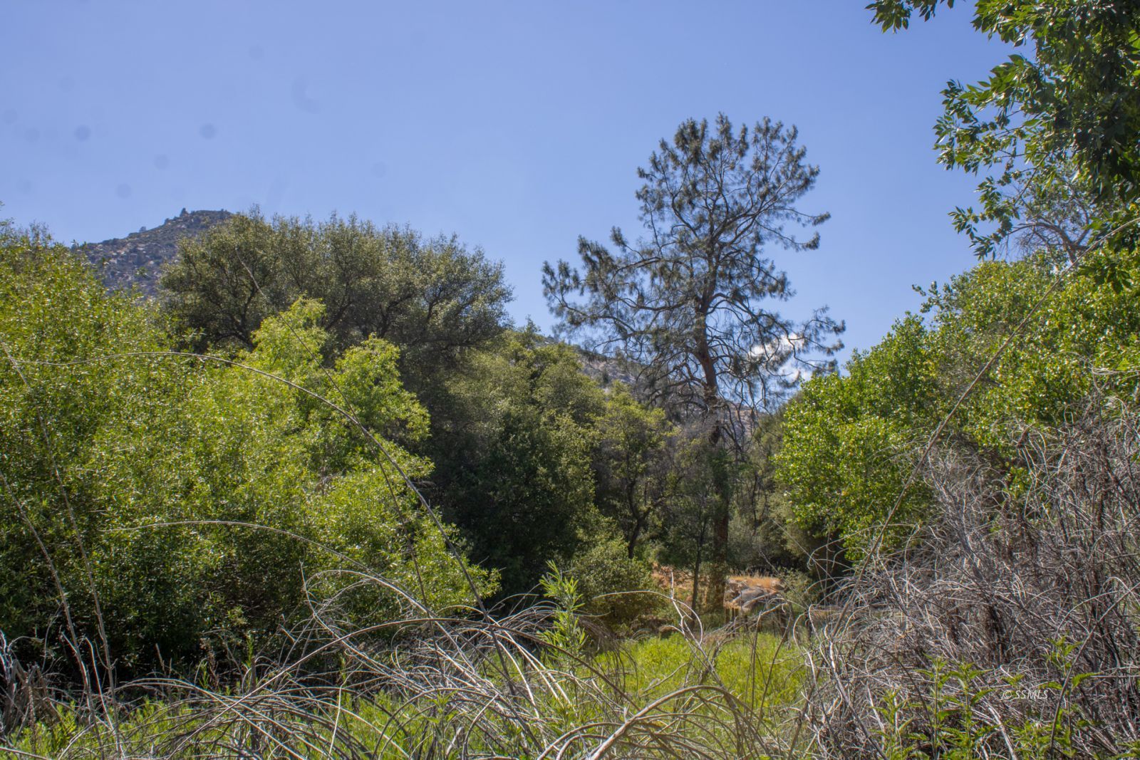 0 Burlando Road Kernville, CA 93238 - Photo 11 of 15