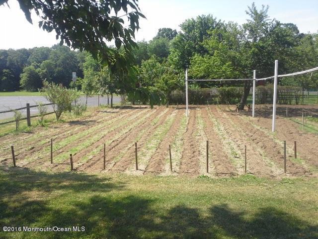 74 Tennent Road Morganville, NJ 07751 - Photo 7 of 8 Garden