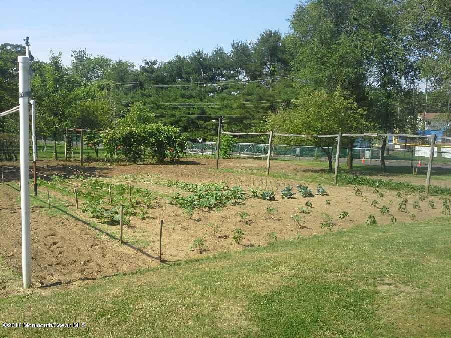74 Tennent Road Morganville, NJ 07751 - Photo 8 of 8 Garden photo #2