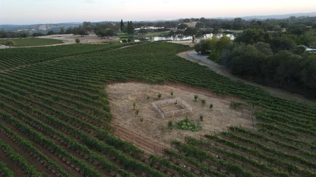 $9,250,000 | 1140 Cold Springs Road, Placerville, CA 95667