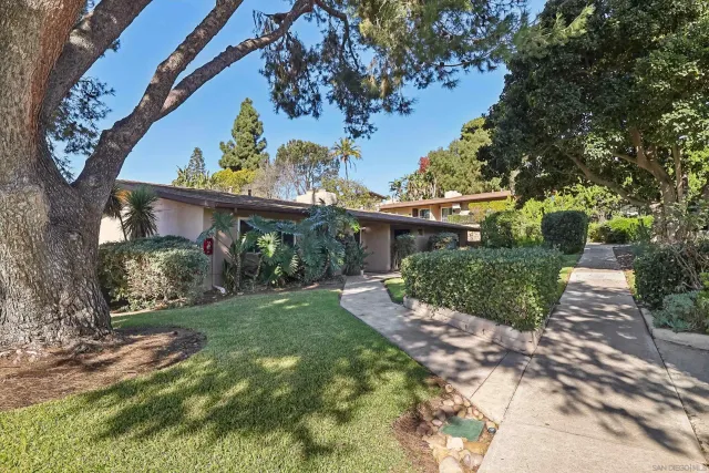 a view of a house with a yard and potted plants