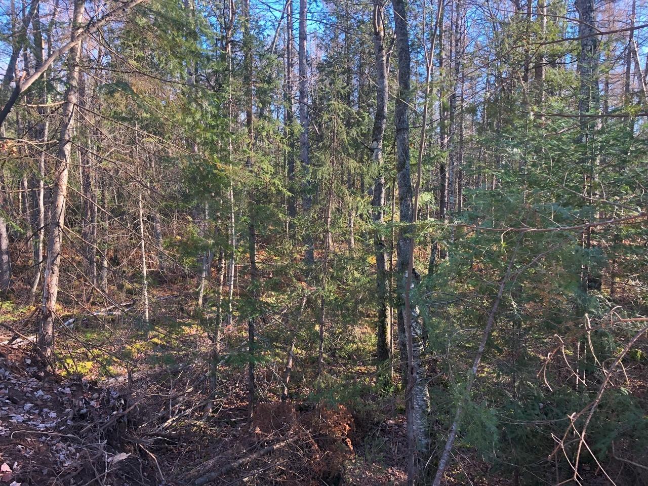 Off East Bay Road, Unit LOT 5 Presque Isle, WI 54557 - Photo 22 of 29 Gallery Image 22