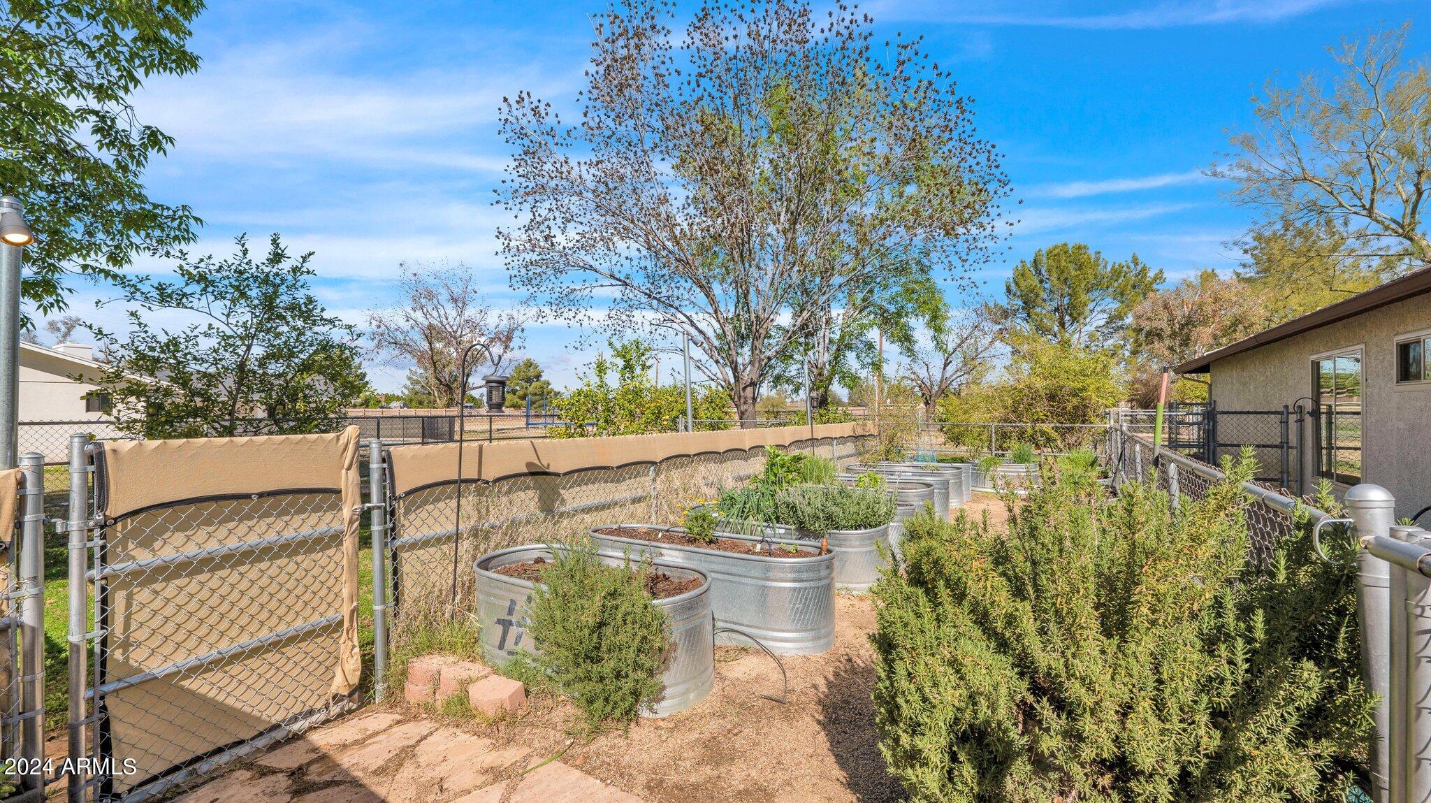 814 East Harwell Road Gilbert, AZ 85234 - Photo 24 of 35 a view of a backyard of the house