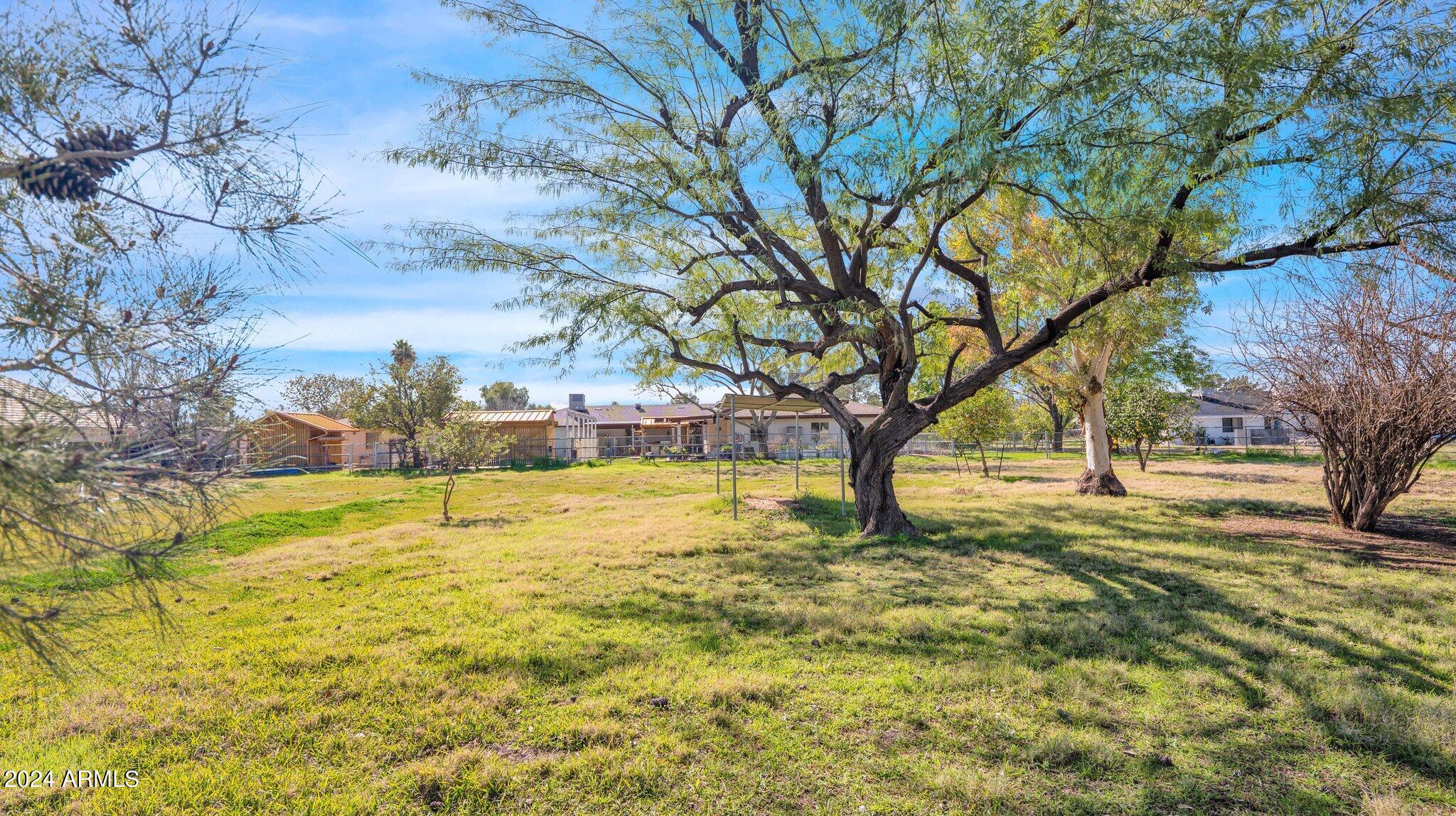 814 East Harwell Road Gilbert, AZ 85234 - Photo 26 of 35 a view of a yard with swimming pool