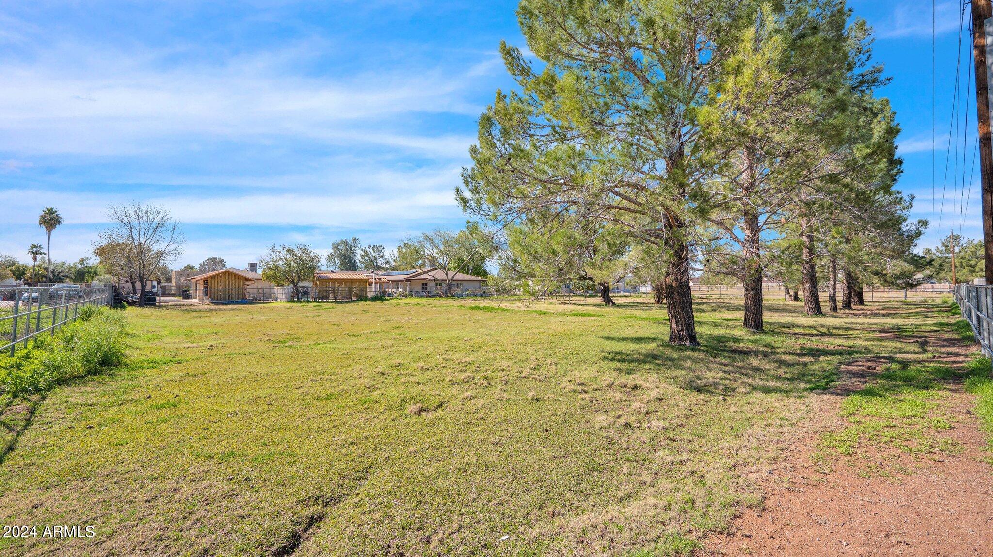 814 East Harwell Road Gilbert, AZ 85234 - Photo 4 of 35 a view of a yard with an trees