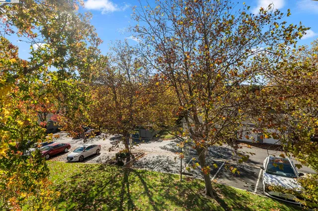 a view of a street with houses