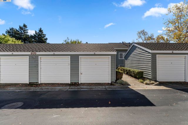 a wooden bench with a tree in the background