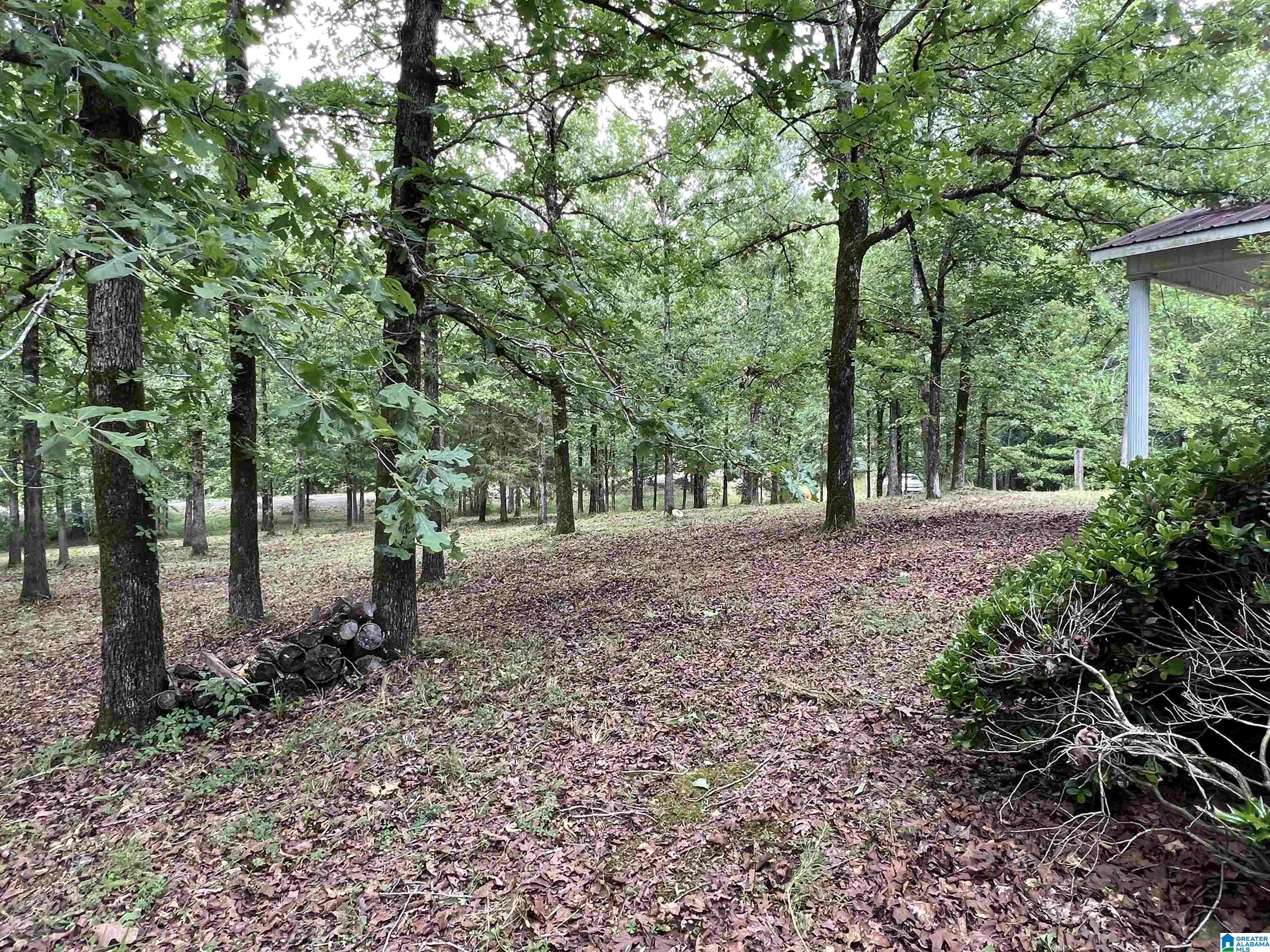 330 Mitchellville Road Ohatchee, AL 36271 - Photo 3 of 10
