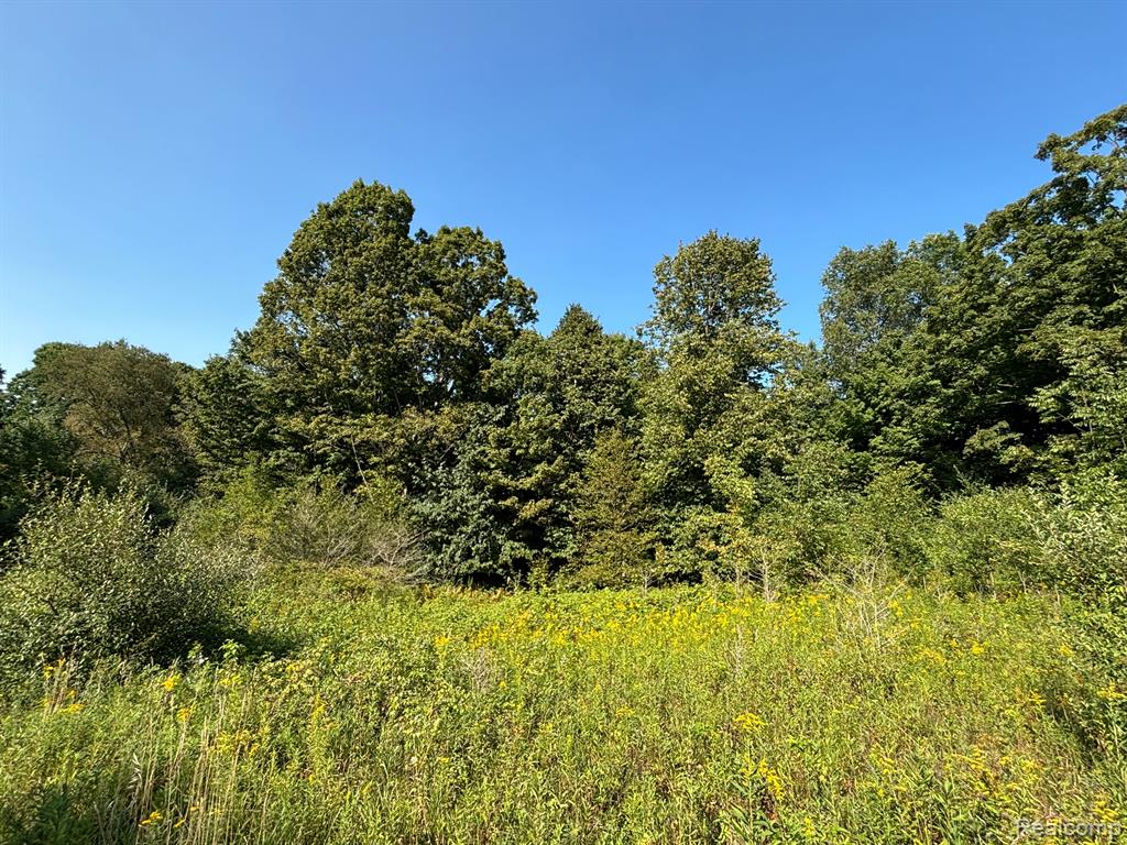 0 Newcosta Road Reed City, MI 49677 - Photo 13 of 30
