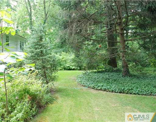 5 Chandler Road Edison, NJ 08820 - Photo 21 of 23 a view of yard with green space