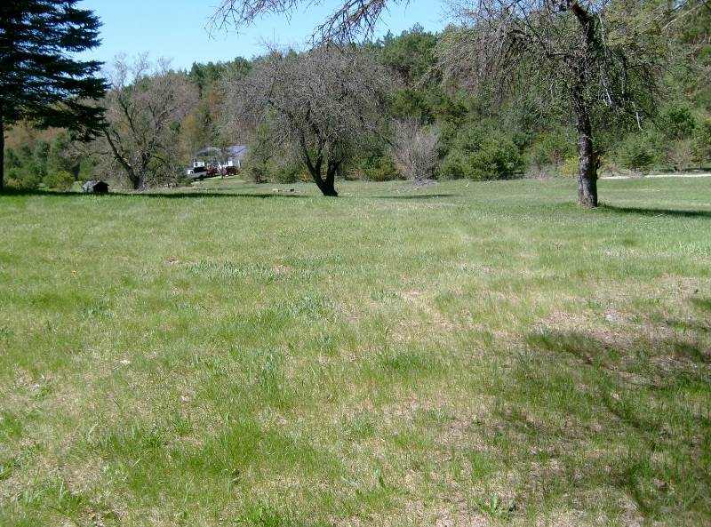 335 West Sharon Road Southeast Fife Lake, MI 49633 - Photo 3 of 99 1874973-2.JPG