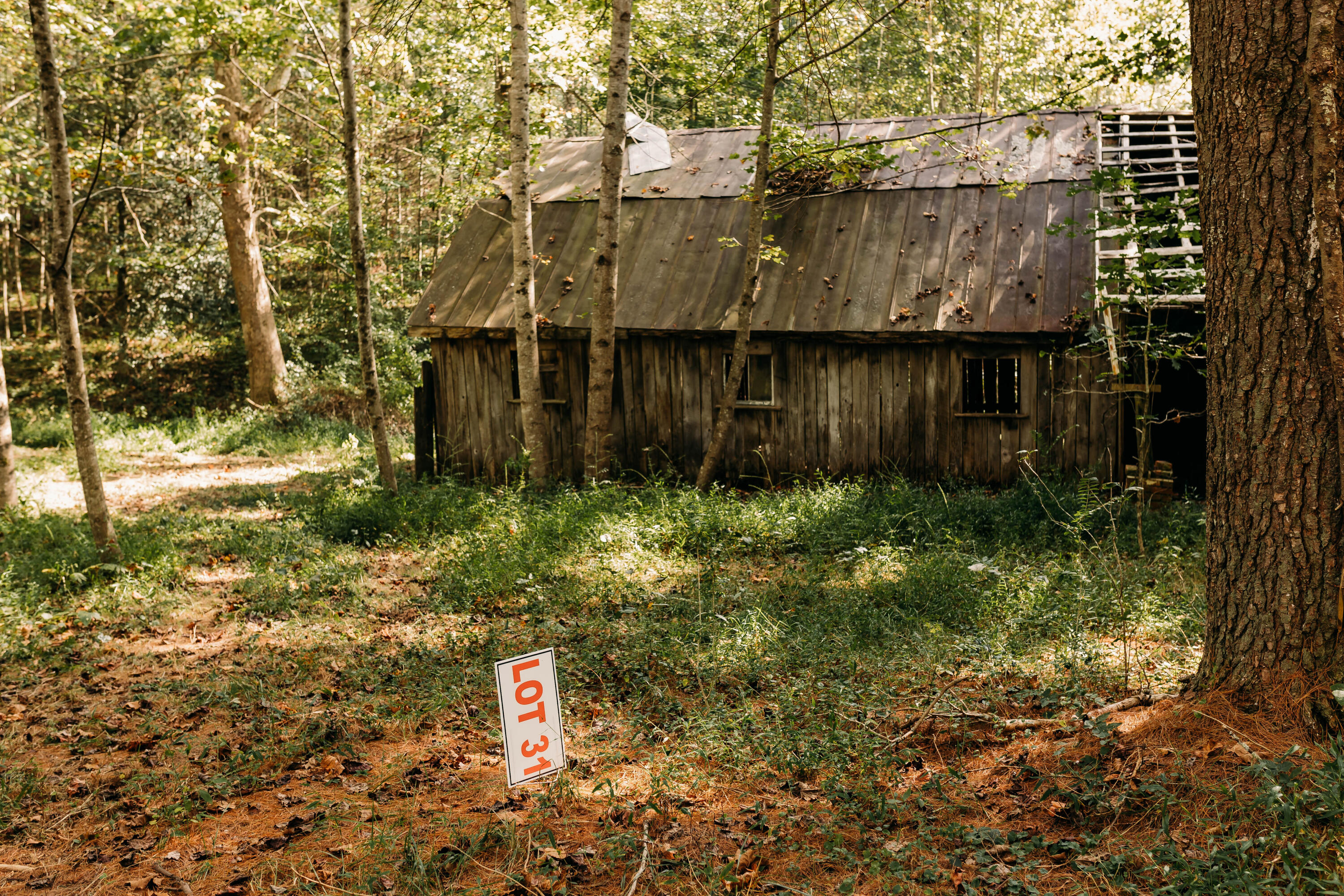 Lot 31 Lower Holler Top Road Campton, KY 41301 - Photo 1 of 9 FO7A1075