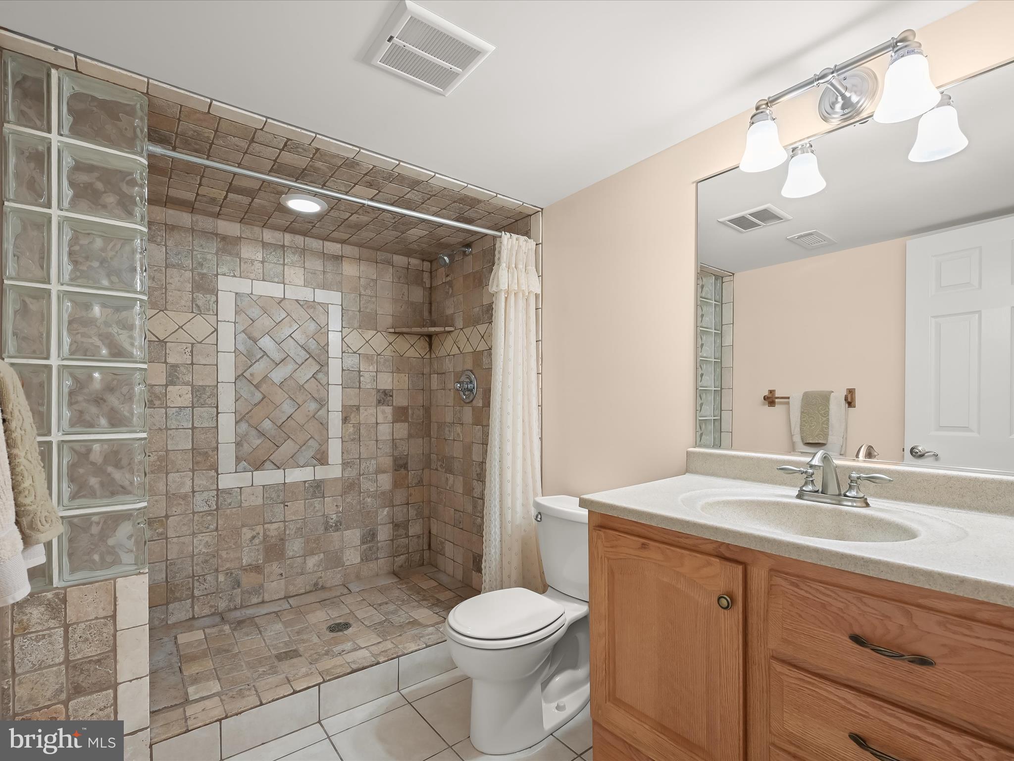 17580 Hardy Road Mount Airy, MD 21771 - Photo 43 of 74 Lower Level Full Bath & Designer Tile