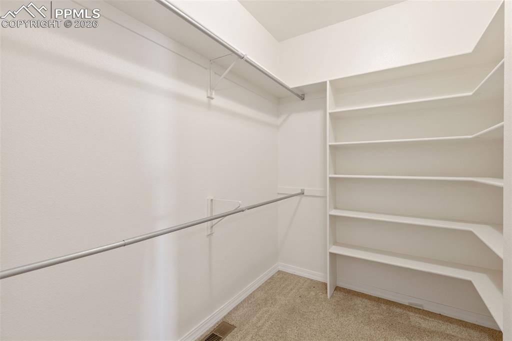 11515 Texarkanna Road Peyton, CO 80831 - Photo 24 of 43 Walk in closet featuring light carpet
