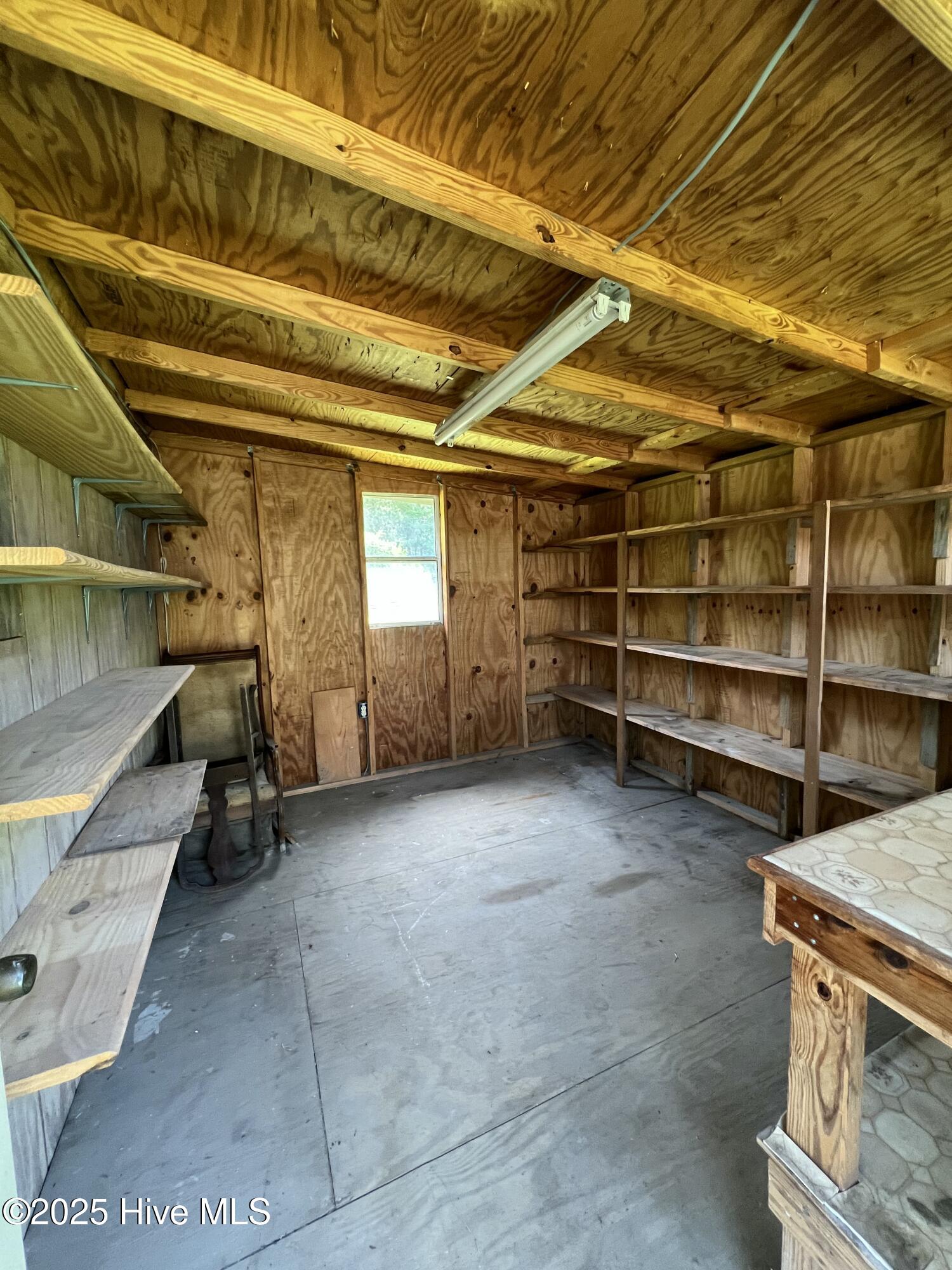 258 Hideaway Road Belhaven, NC 27810 - Photo 52 of 73 Stall 1