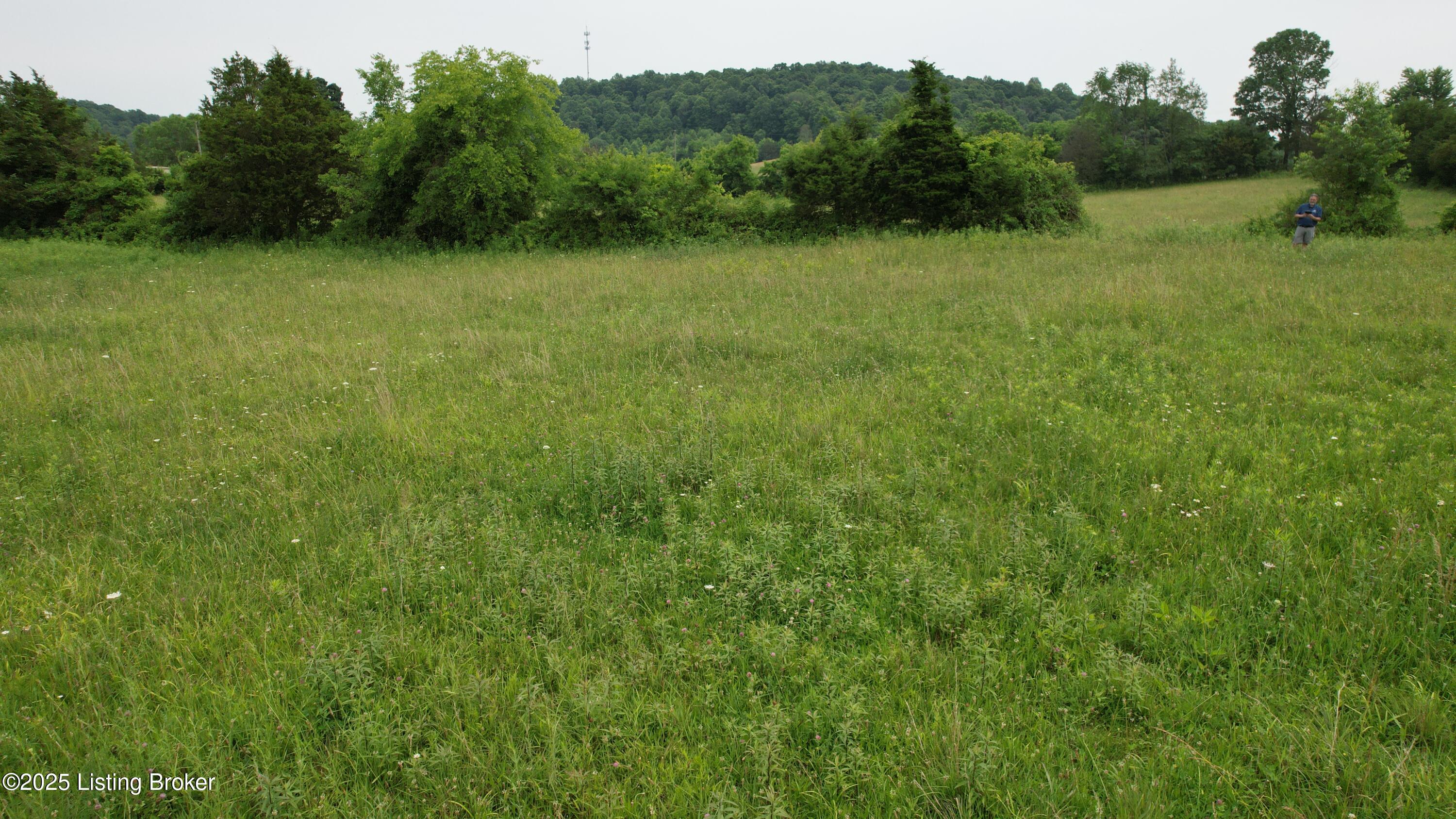 0 Upton Road Upton, KY 42784 - Photo 61 of 71 DJI_0989