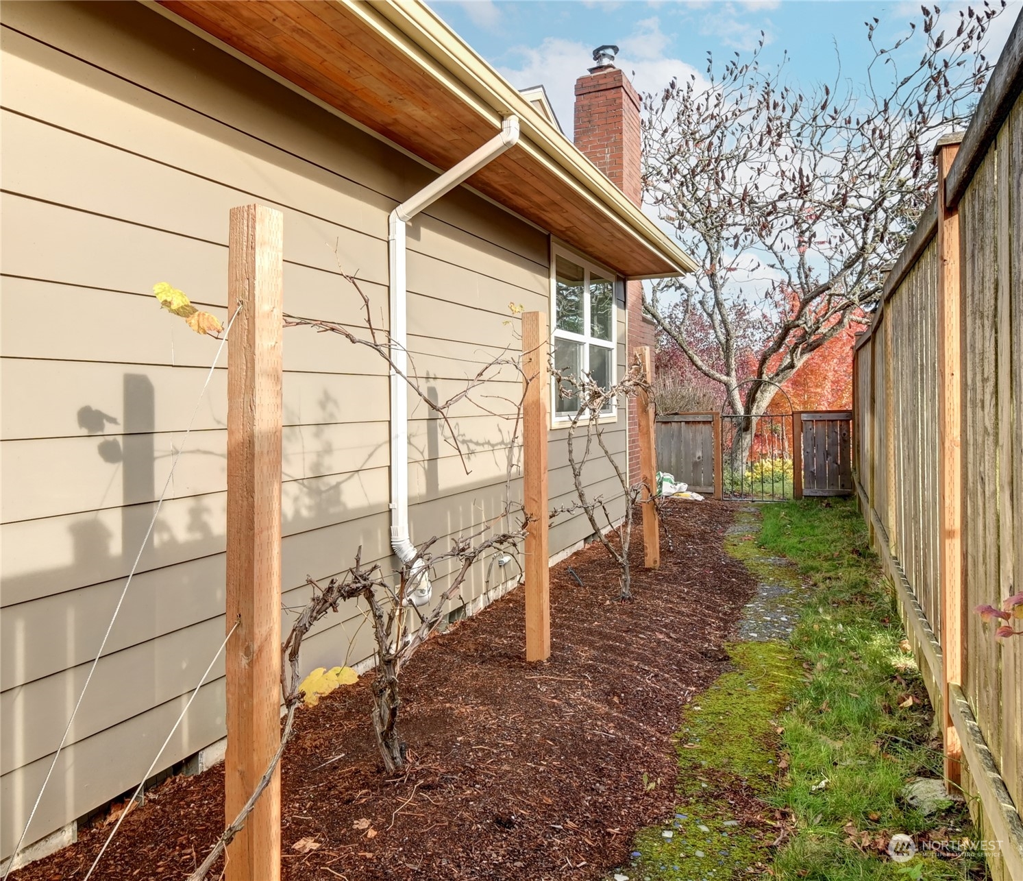 4041 48th Avenue Southwest Seattle, WA 98116 - Photo 25 of 28 a view of a house with a yard