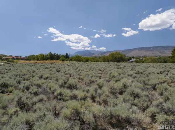 a view of a big yard