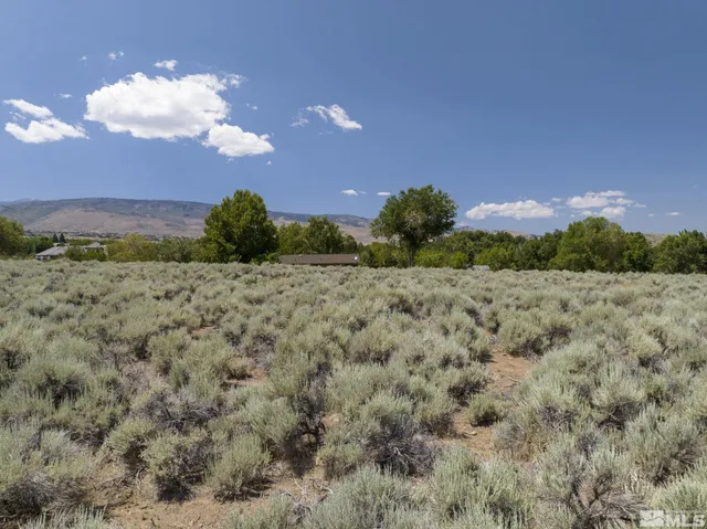 a view of a big yard with a house in the background