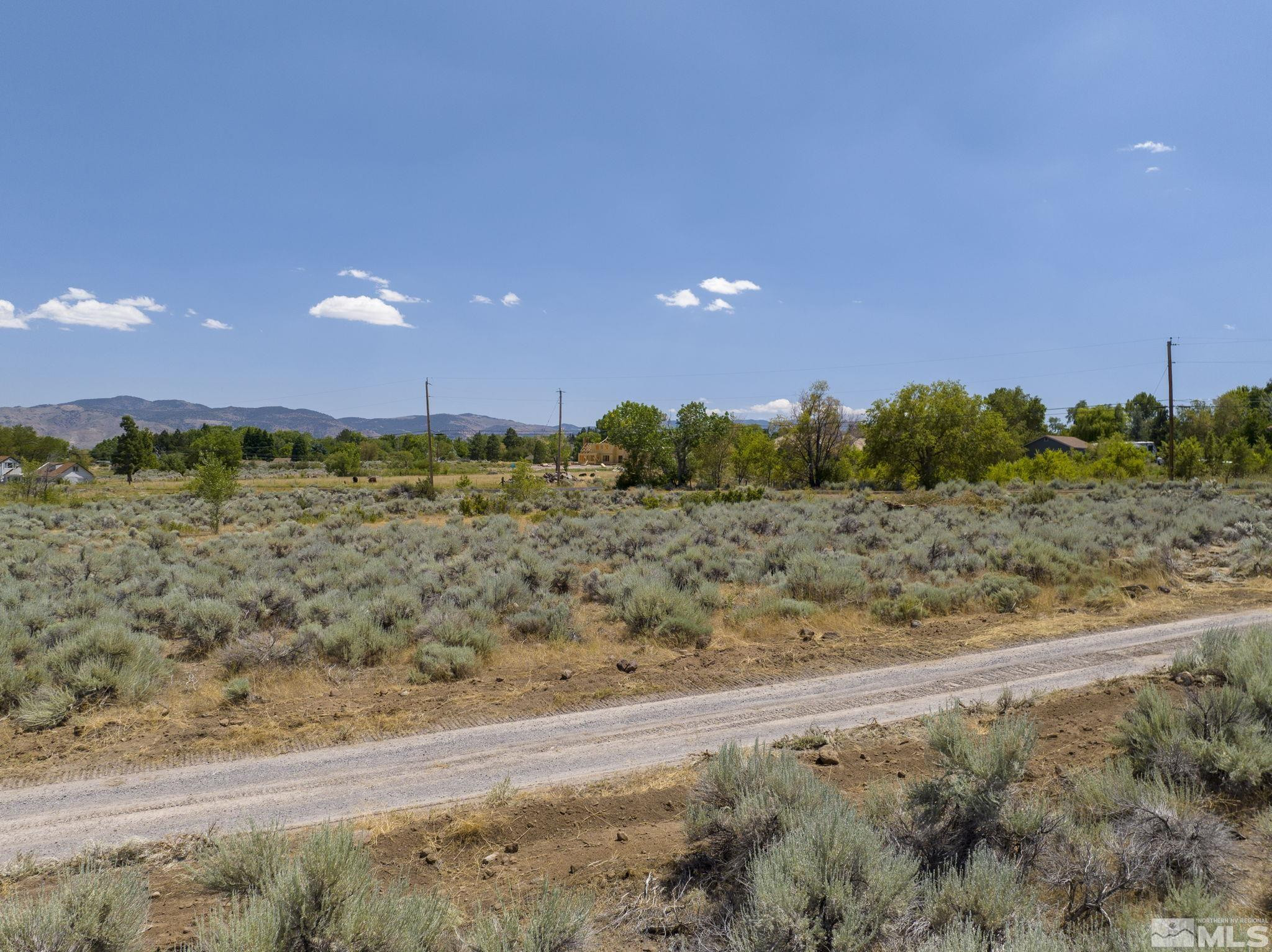 13 Glenhaven Drive Reno, NV 89511 - Photo 5 of 13 a view of a yard