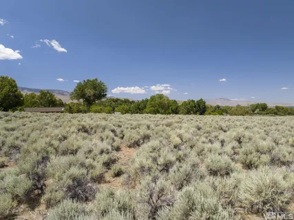 a view of an ocean beach