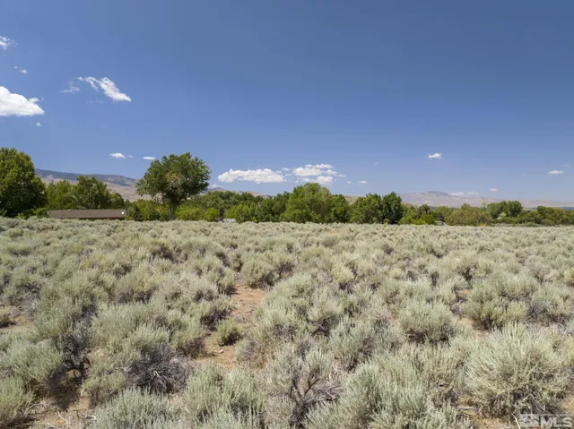 a view of an ocean beach