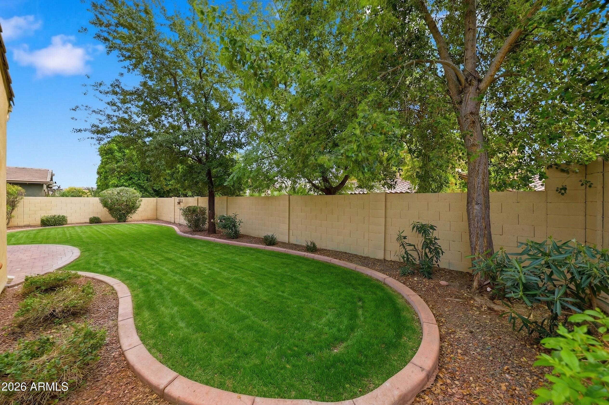 20441 West Hamilton Street Buckeye, AZ 85396 - Photo 41 of 88 GRASS (4)