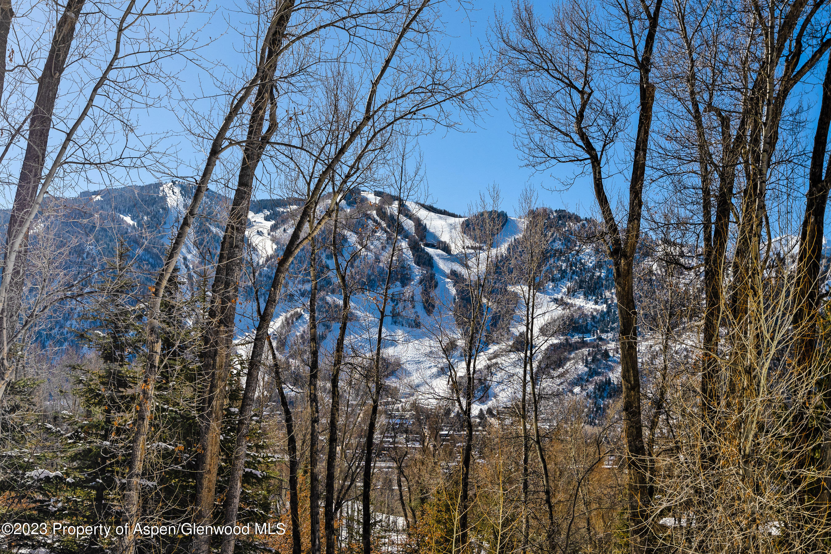 1036 Red Mountain Road Aspen, CO 81611 - Photo 22 of 37 a backyard of a house with lots of green space