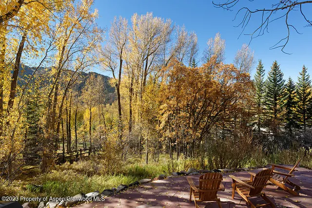 a view of outdoor space with lots of trees