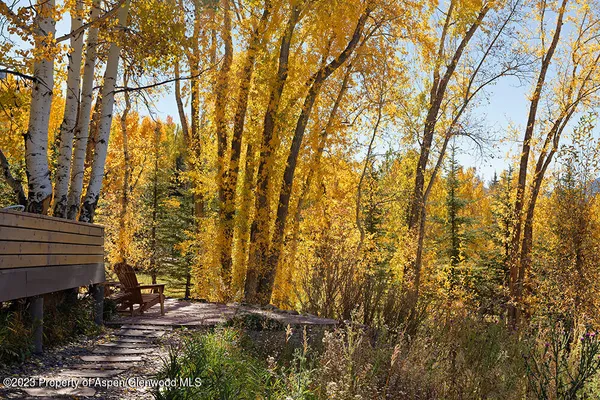 a view of tree and wooden fence